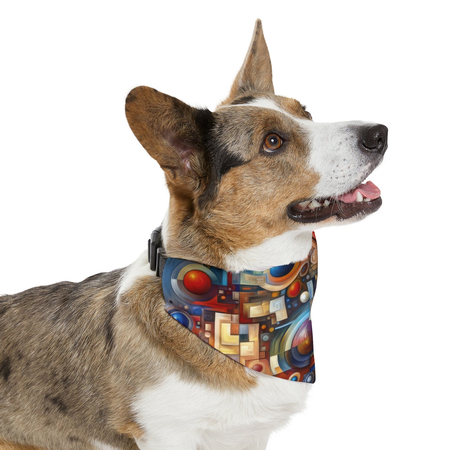 Coexistence Harmony Code Pet Bandana Collar
