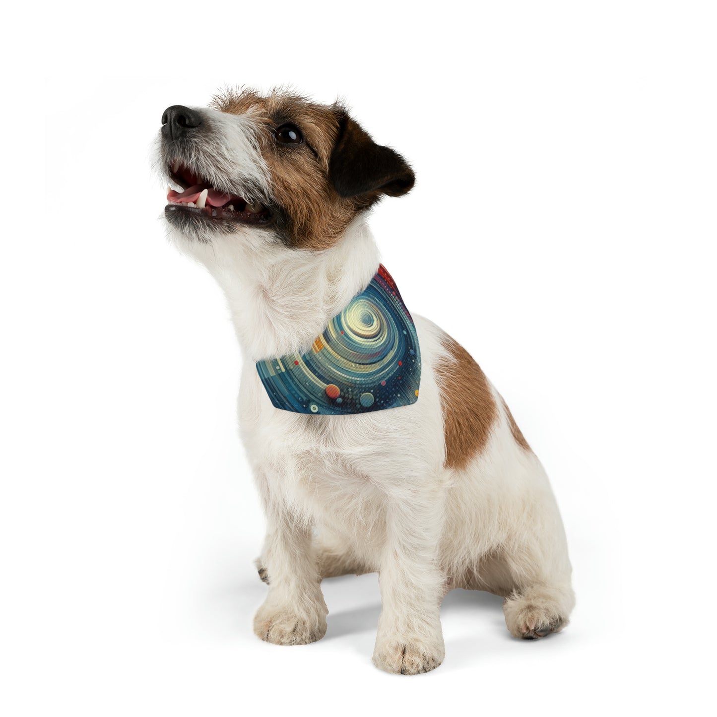 Considerate Echoes Resonate Pet Bandana Collar