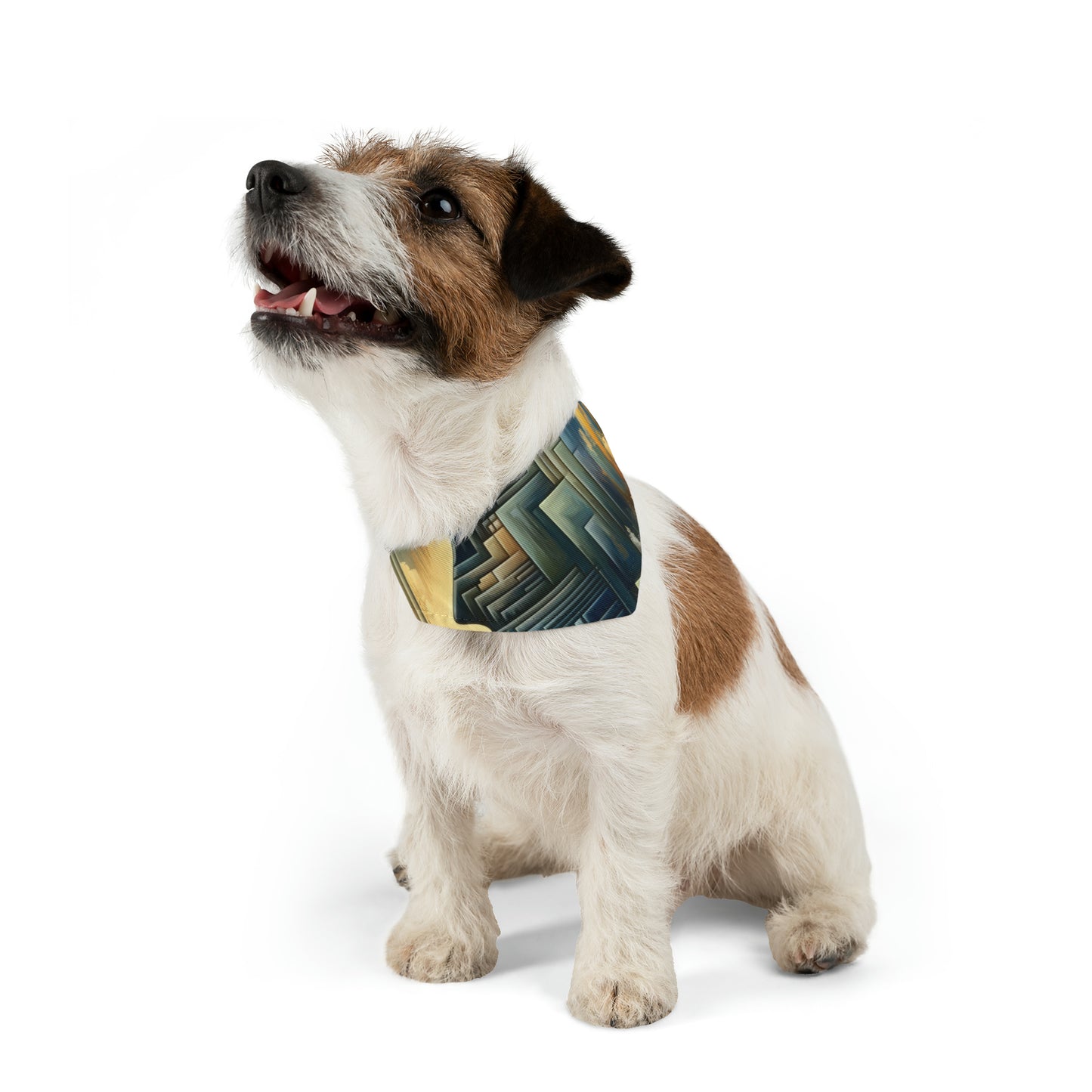 Abstract Geometric Boundaries Pet Bandana Collar