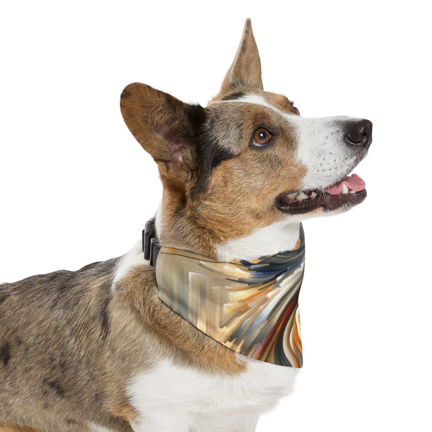 Model Dynamic Transition Pet Bandana Collar