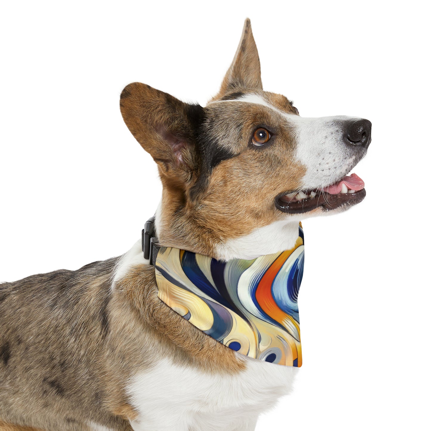 Wisdom Dance Inquiry Pet Bandana Collar