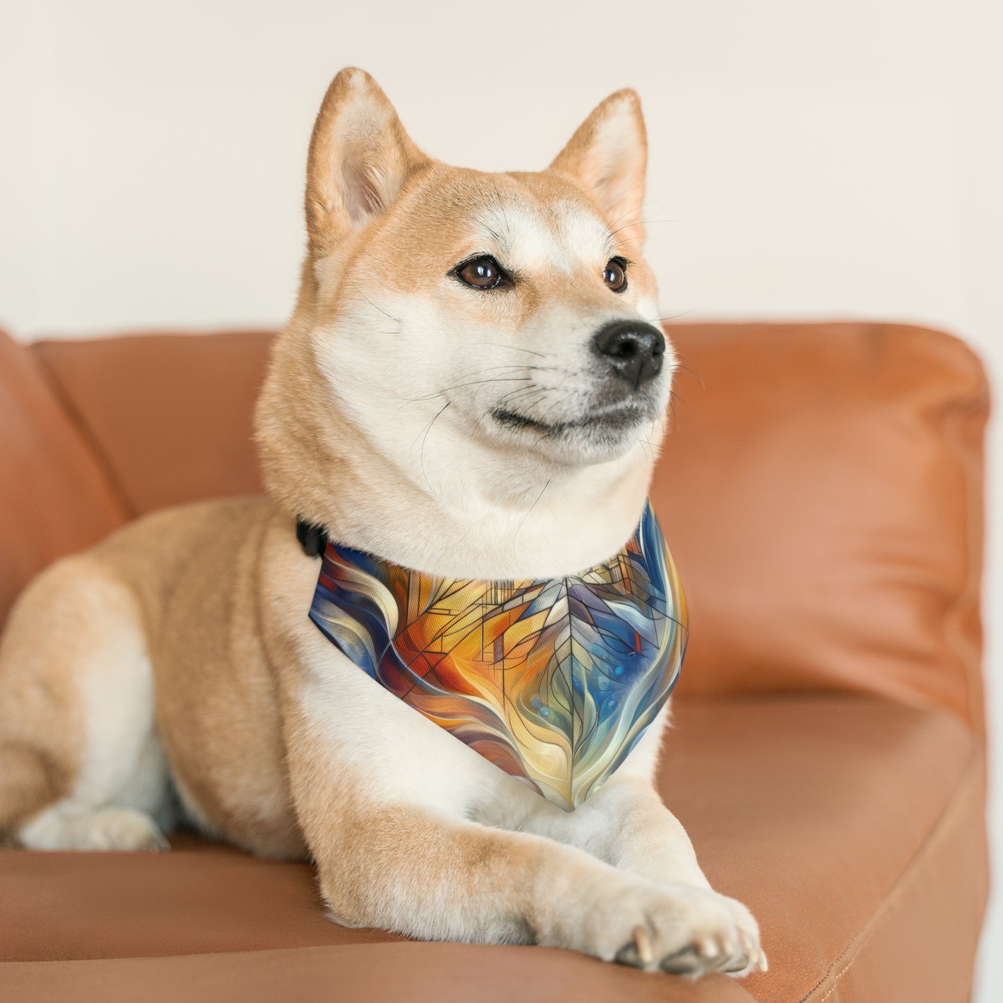 Weaving Renewal Web Pet Bandana Collar