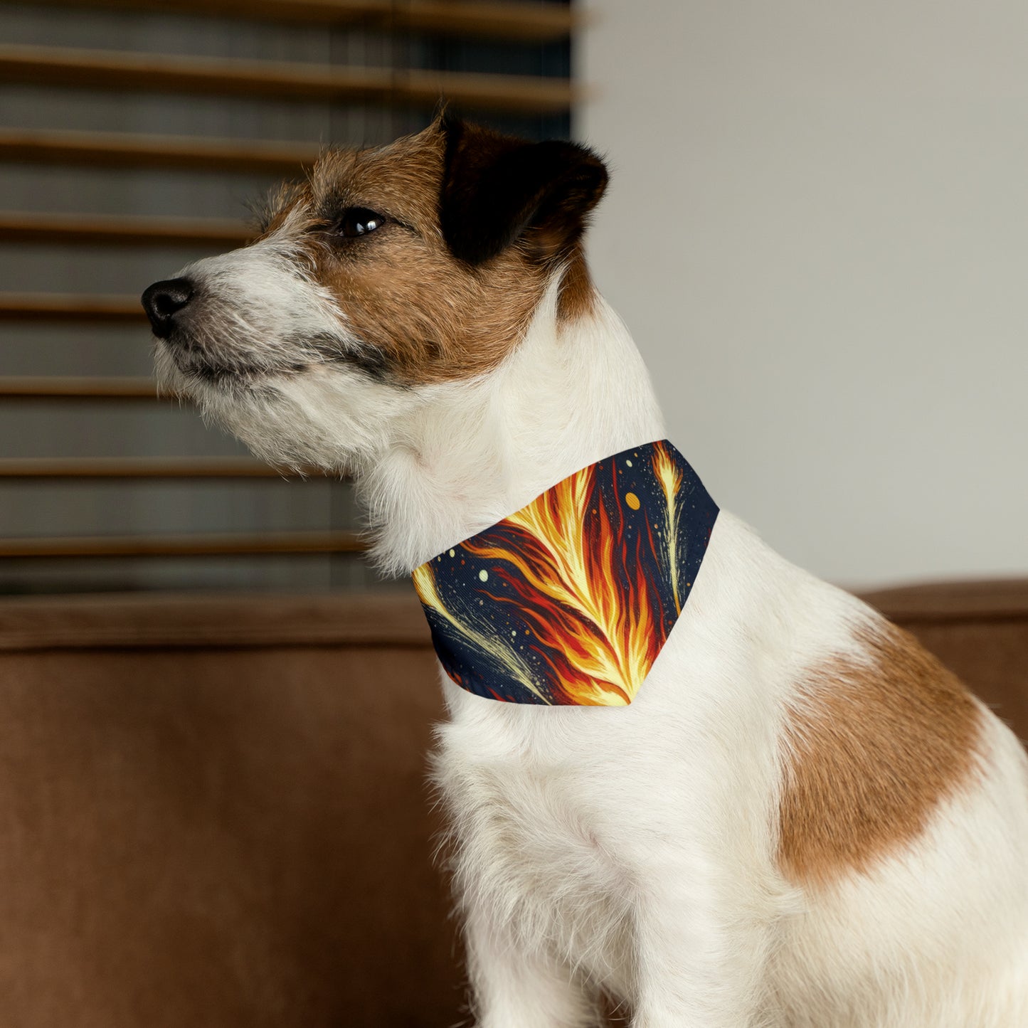Ignition Change Catalyst Pet Bandana Collar