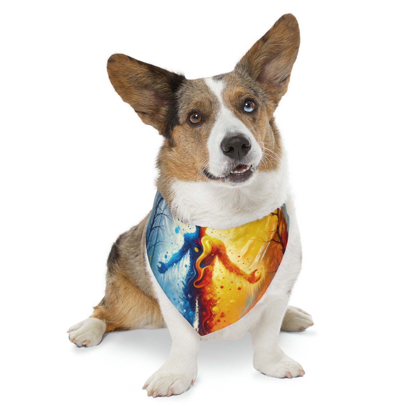 Invincible Summer Discovery Pet Bandana Collar