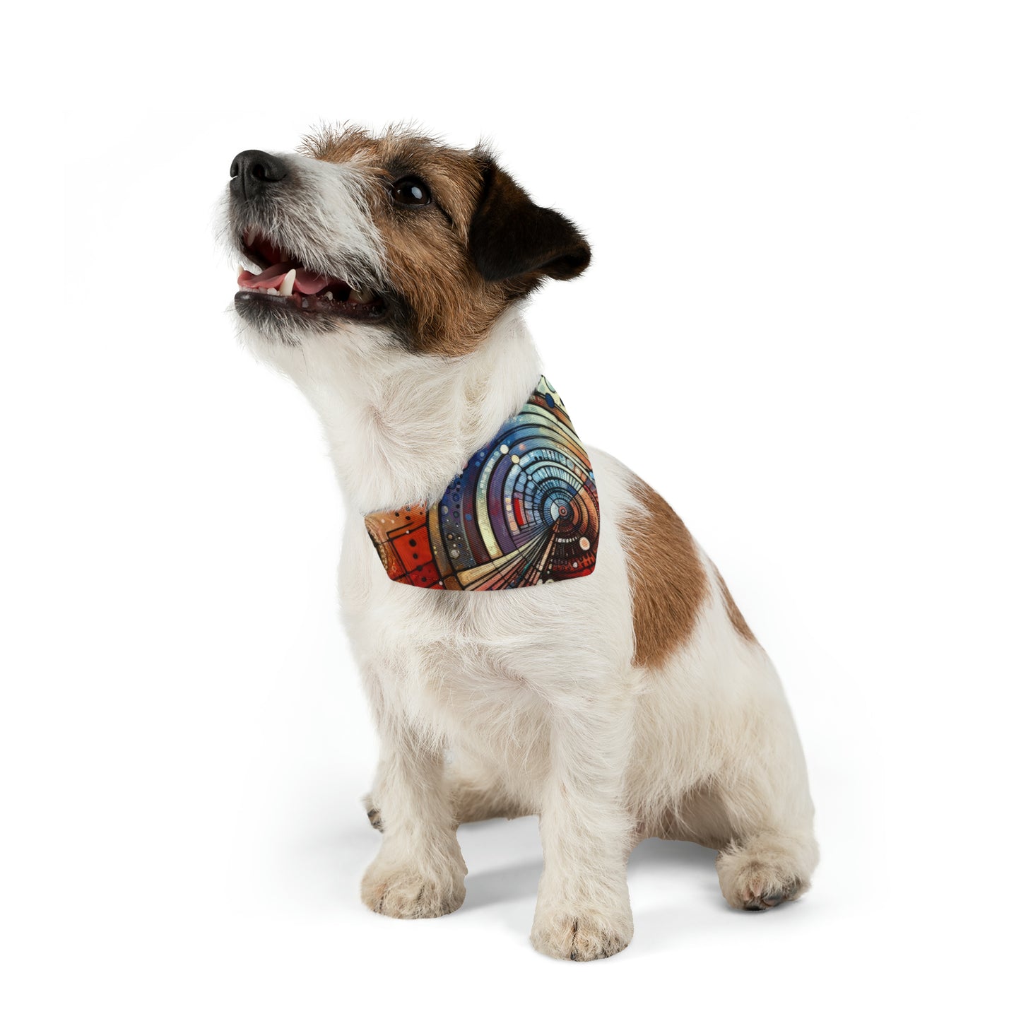 Rituals Over Routines Pet Bandana Collar