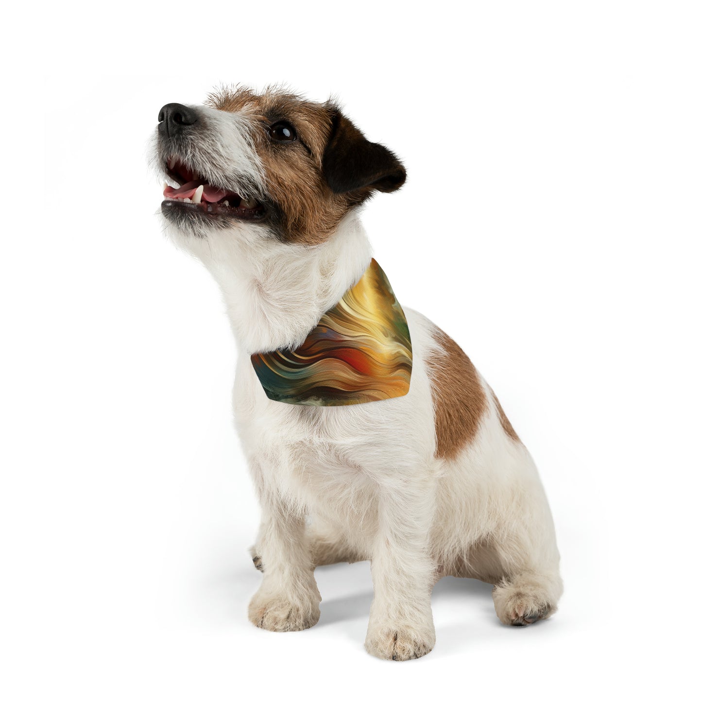 Symphonic Interconnectedness Shift Pet Bandana Collar