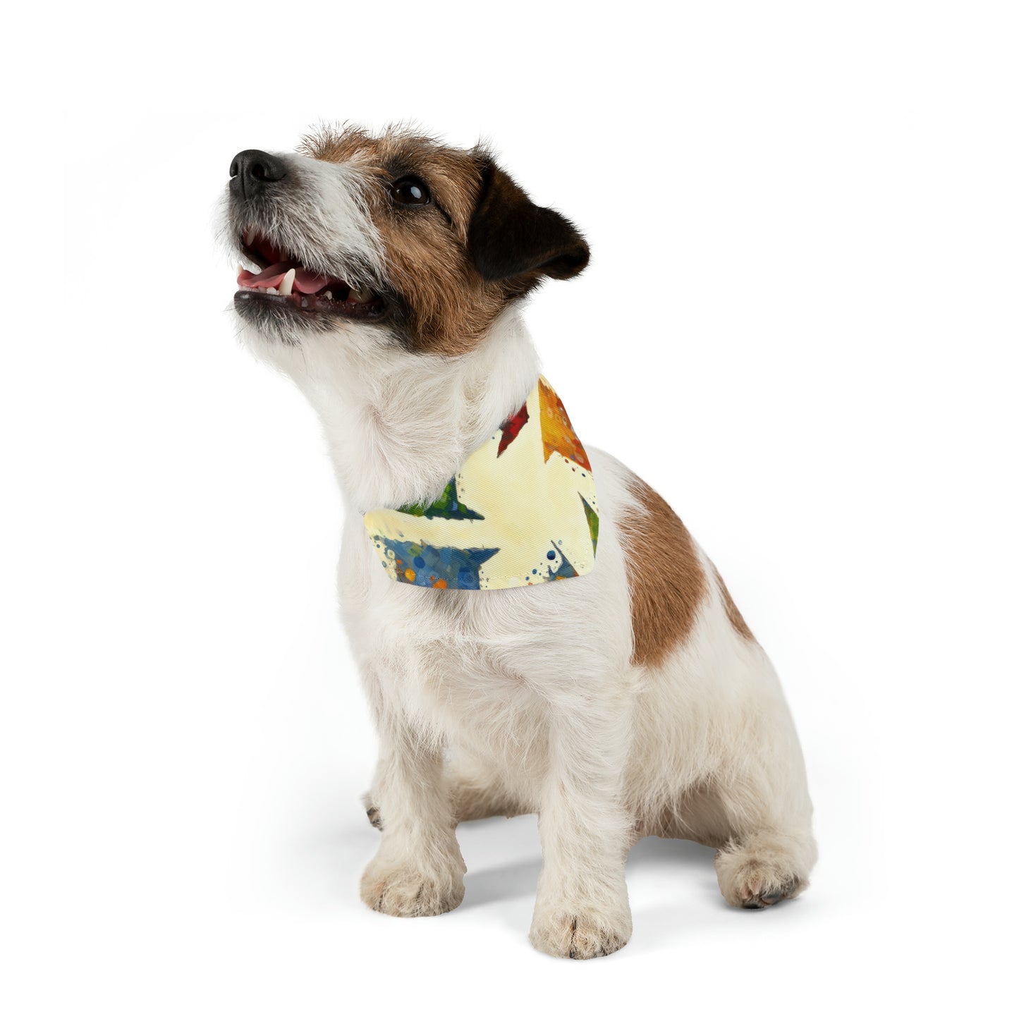 Sustainable Transformation Tachism Pet Bandana Collar